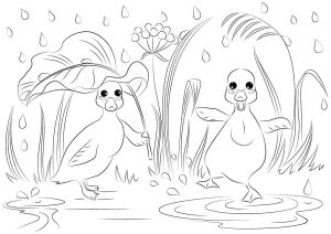 Tô màu Hai Con Vịt Ngộ Nghĩnh cho bé tập tô