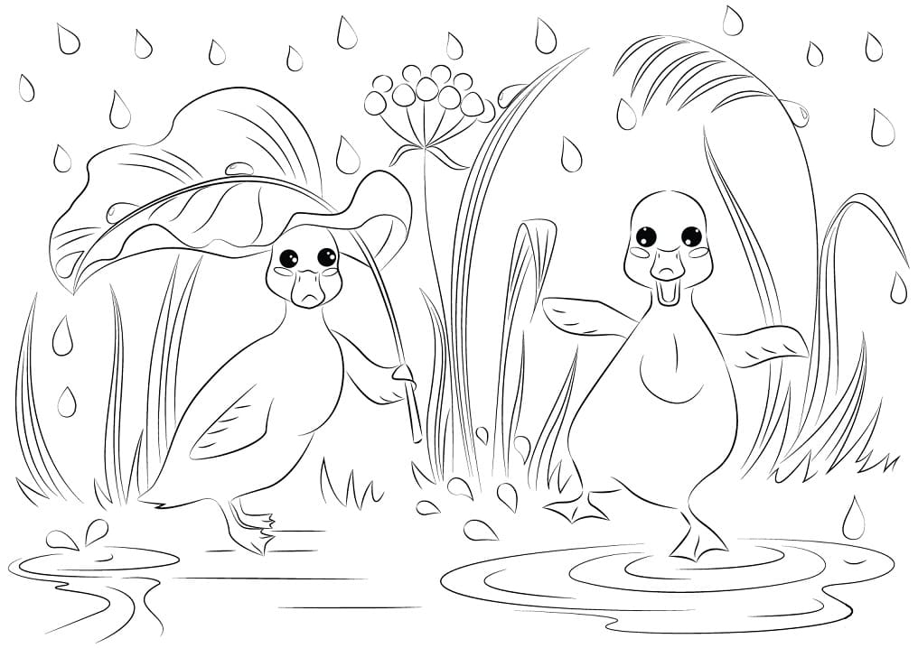 Tô màu Hai Con Vịt Ngộ Nghĩnh cho bé tập tô