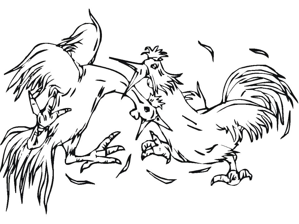 Tô màu Hai Gà Trống Đánh Nhau cho bé tập tô