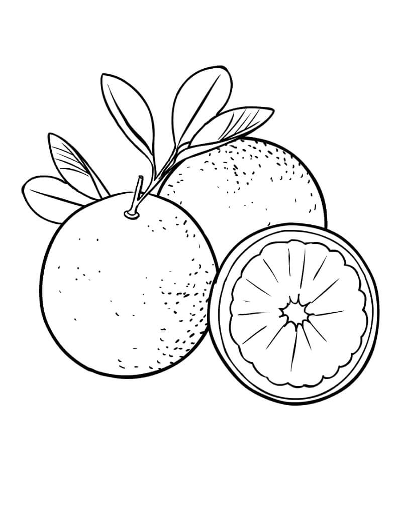 Tô màu Hai Quả Cam và Nửa Quả Cam 1 Tô màu Hai Quả Cam và Nửa Quả Cam dễ thương cho bé