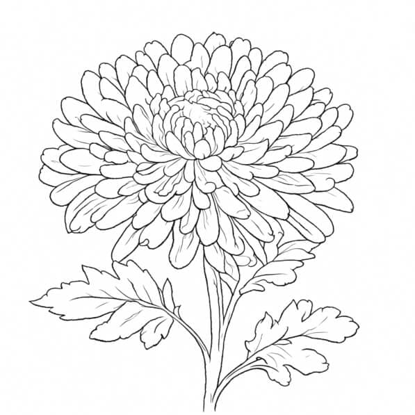Tô màu Hoa Cúc Nở dễ thương cho bé