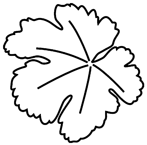 Tô màu Lá Cây Bầu cho bé tập tô