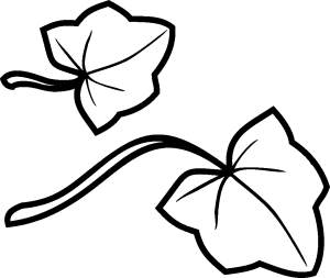 Tô màu Lá Cây Bí dễ thương cho bé