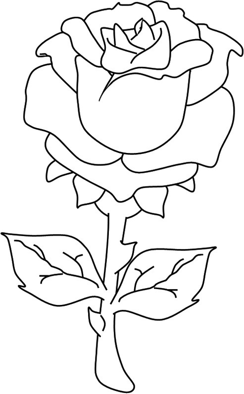 Tô màu một bông hoa hồng cho bé tập tô