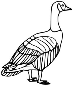 Tô màu Một Chú Ngỗng dễ thương cho bé