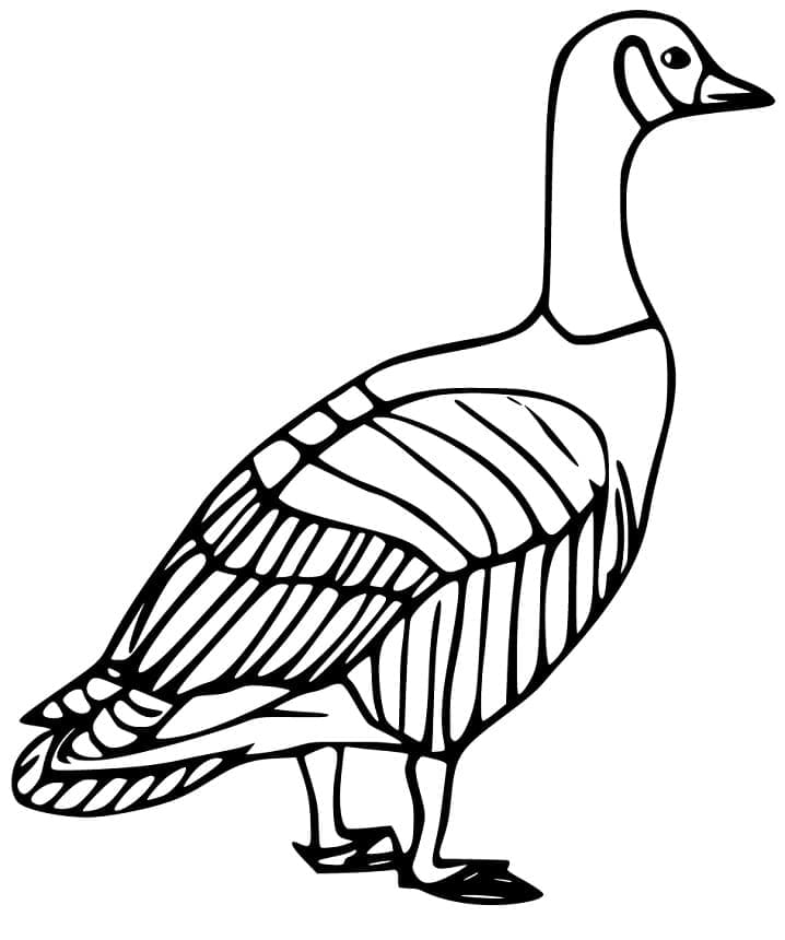 Tô màu Một Chú Ngỗng dễ thương cho bé