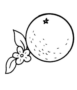 Tô màu Một Quả Cam giúp bé rèn luyện khả năng tô màu