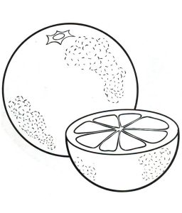 Tô màu Một và Nửa Quả Cam cho bé tập tô