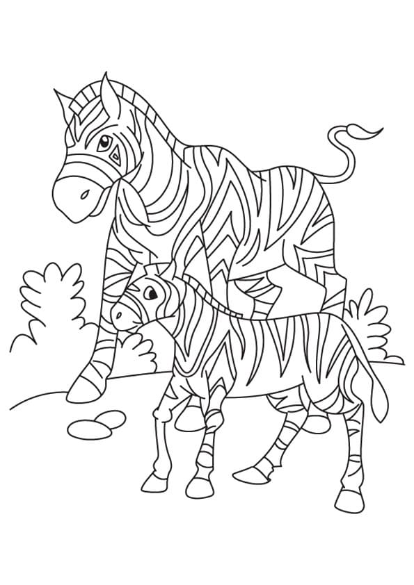 Tô màu Ngựa Vằn Mẹ và Con 1 Tô màu Ngựa Vằn Mẹ và Con cho bé tập tô
