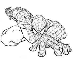 Tô màu người nhện leo trèo dễ thương cho bé
