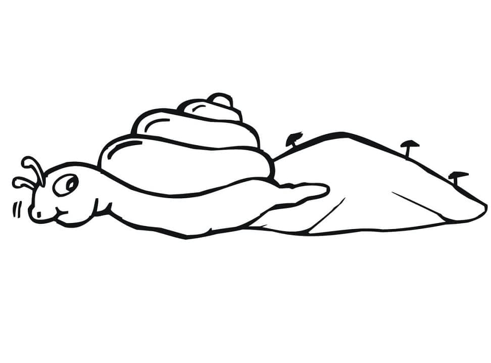 Tô màu Ốc Sên Bò 1 Tô màu Ốc Sên Bò dễ thương cho bé