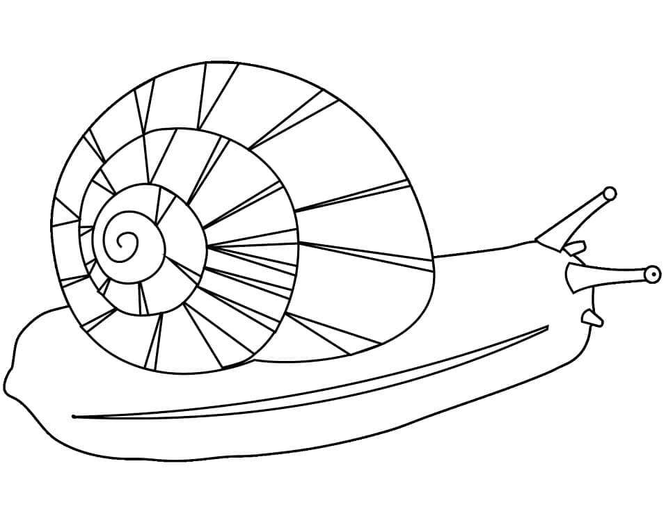 Tô màu Ốc Sên Đơn Giản 1 Tô màu Ốc Sên Đơn Giản cho bé tập tô