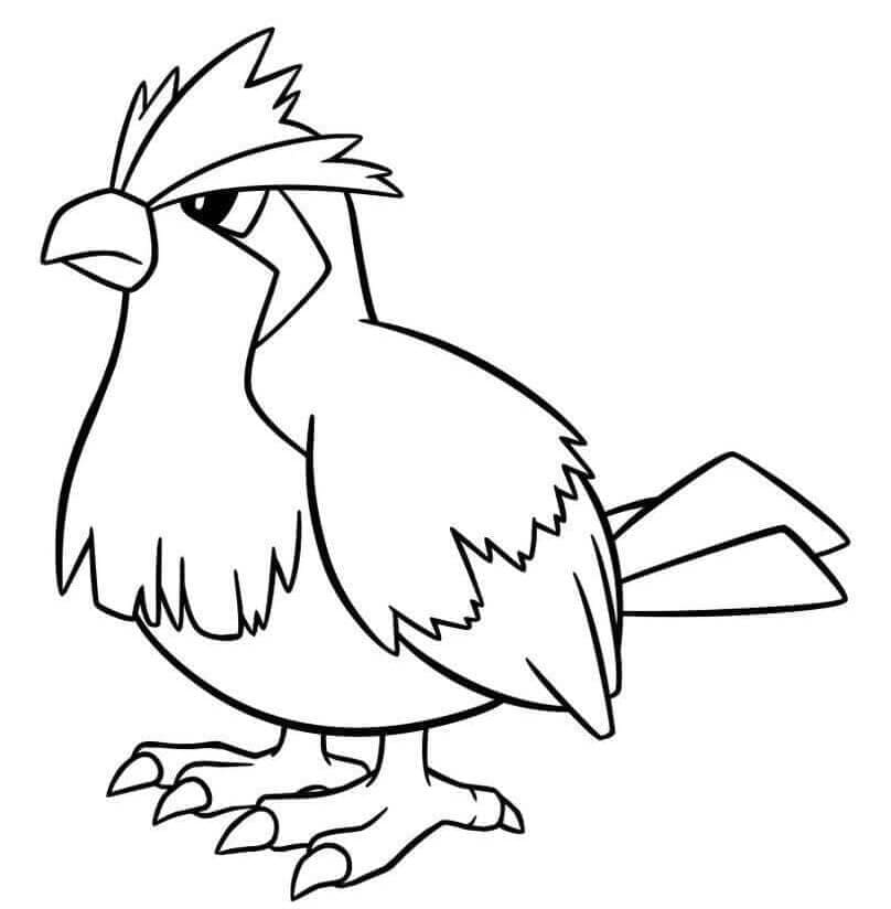 Tô màu Pokemon Pidgey dễ thương cho bé