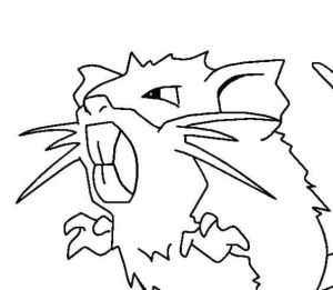 Tô màu Pokemon Raticate cho bé tập tô