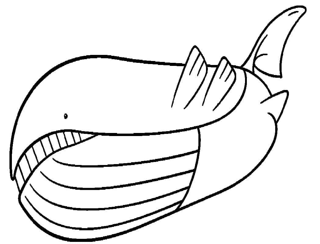 Tô màu Pokemon Wailord