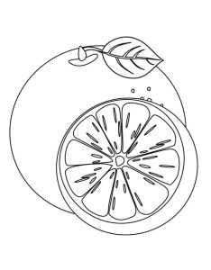 Tô màu Quả Cam Và Nửa Quả dễ thương cho bé