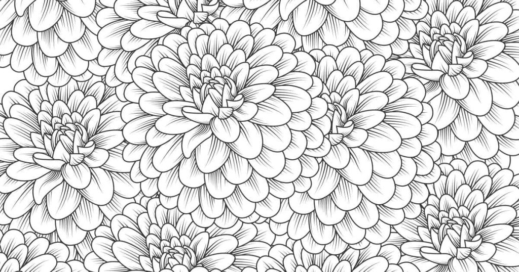 Tô màu Vườn Hoa Cúc dễ thương cho bé