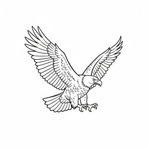 Tô màu Con Chim Đại Bàng