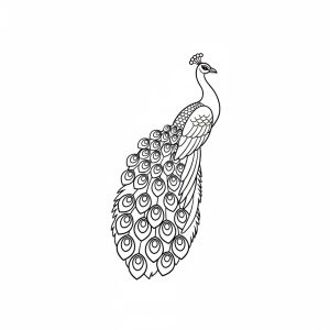 Tô màu Con Công Kiêu Sa