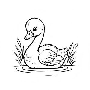 Tô màu con chim thiên nga con