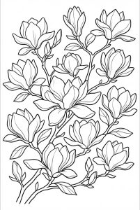 Tranh Tô Màu Hoa Mộc Lan Nhiều Hoa