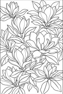 Tranh Tô Màu Hoa Mộc Lan và Lá