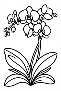 tô màu hoa lan